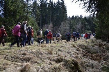 Die kommentierten Wanderungen in der Umgebung von Haselbach.